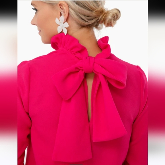 Tuckernuck Pomander Place Fuchsia Faye Blouse Size Medium - Picture 4 of 14